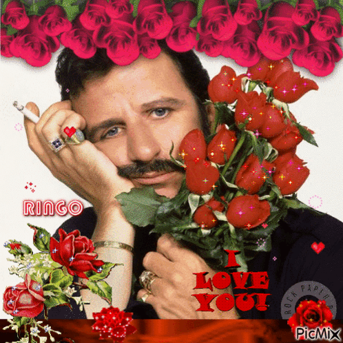 Ringo Stop And Smell The Roses GIF - Ringo Stop And Smell The Roses Roses GIFs