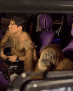a shirtless man sits in a car with a monkey