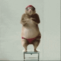 a hamster wearing a red swim cap and red underwear is standing on a stool .