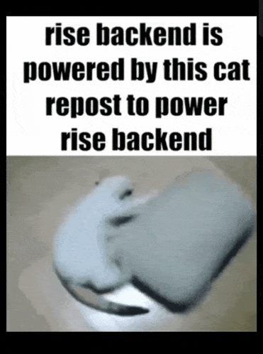 Rise Client Rise Backend GIF - Rise Client Rise Backend Rise 6 GIFs