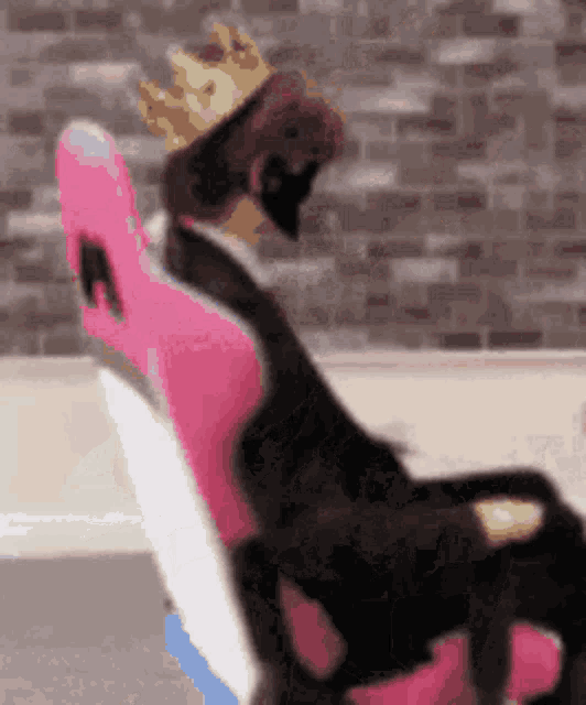 a dog is wearing a crown and sitting in a pink chair .
