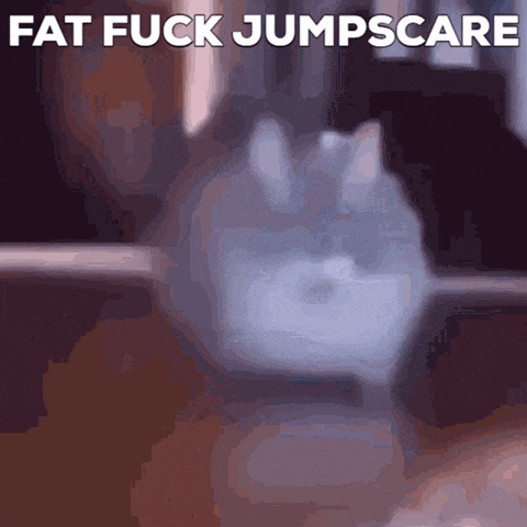 a blurred image of a cat with the words fat fuck jumpscare above it