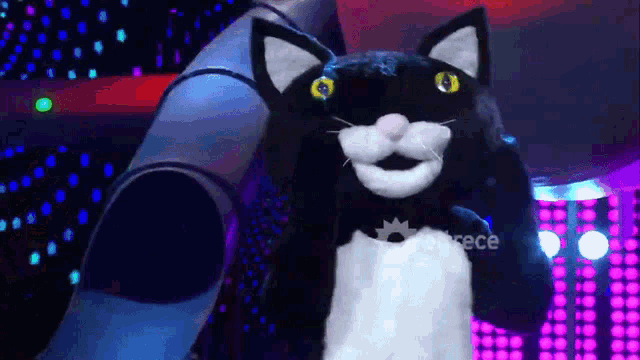 a black and white cat with yellow eyes is on a stage with a purple background