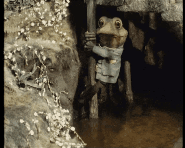 Wind In The Willows Toad GIF - Wind In The Willows Toad Cosgrove Hall GIFs