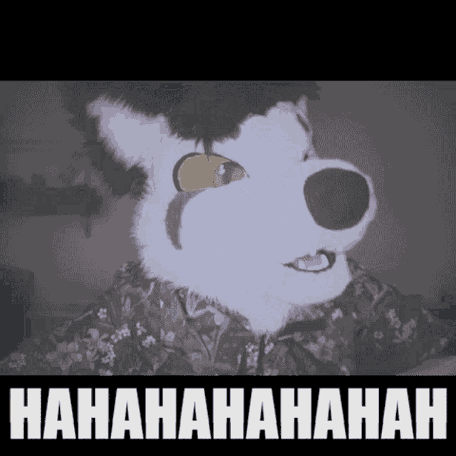 a picture of a furry animal with the words hahahahaah on the bottom right
