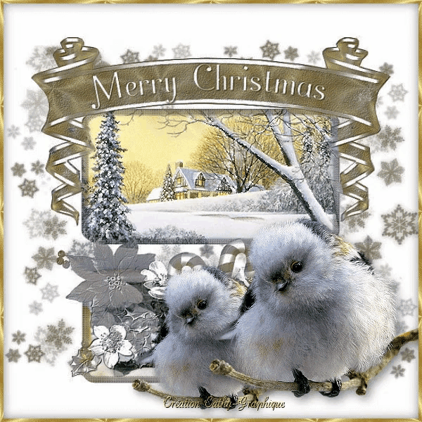 a merry christmas greeting card with two birds and a snowy scene