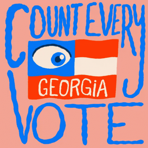 Count Every Vote Every Vote Counts GIF