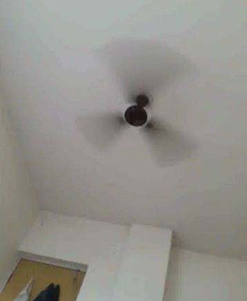 Ceiling Fan Spin GIF - Ceiling Fan Spin Windy GIFs