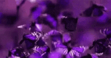 a bunch of purple butterflies flying in the air on a purple background