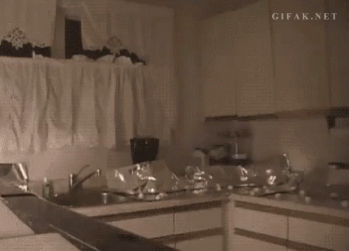 Funny Animals Cats GIF - Funny Animals Cats Foil GIFs