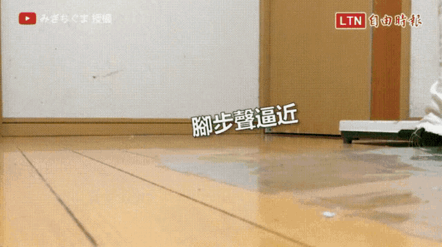 a video of a person walking on a wooden floor with ltn written on the bottom
