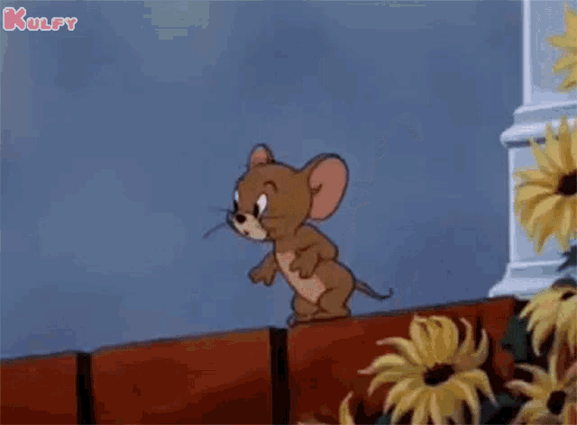 I See Tom And Jerry GIF - I See Tom And Jerry Jerry GIFs