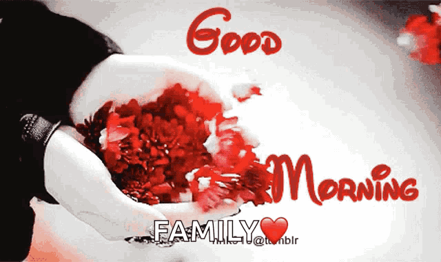 a picture of a person holding flowers with the words " good morning family "