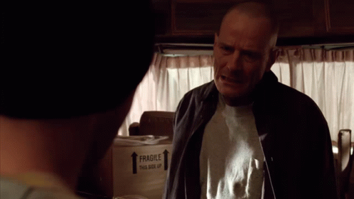 Are You Actually This Stupid Breaking Bad GIF - Are You Actually This Stupid Breaking Bad Walter White GIFs