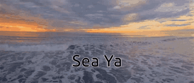 a picture of the ocean with the words sea ya written on it