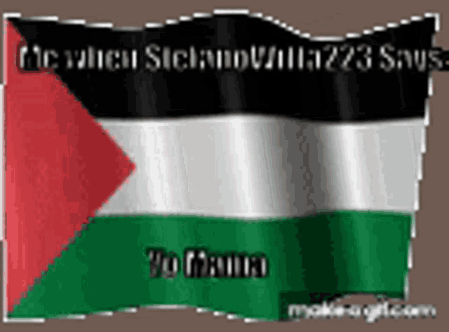 a picture of a flag with the words " me when sick and tired says " on the bottom