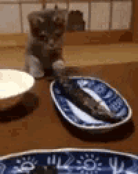 a kitten is sitting on a table next to a bowl of food and a plate with a fish on it .
