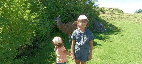 a girl holding a llama 's hand while standing in a field