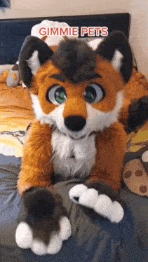 Worpi Fox GIF - Worpi Fox Foxy GIFs