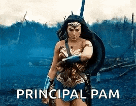 wonder woman is holding a shield and a sword in a field .