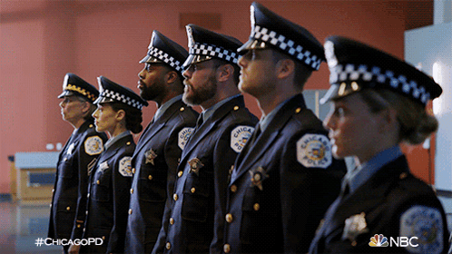 Stand To Attention Kevin Atwater GIF - Stand To Attention Kevin Atwater Jay Halstead GIFs