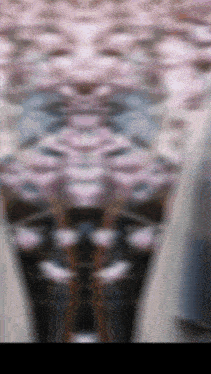a blurred image of a person 's legs with a pattern of flowers in the background