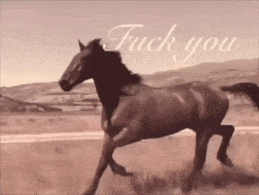 a horse is running in a field with the words " fuck you " written above it