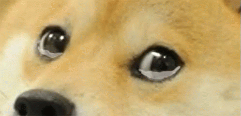 Doge Meme Crying GIF - Sympathy Sad Broken GIFs