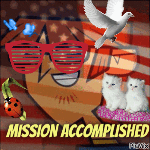 a picture of a man wearing sunglasses and two kittens with the words mission accomplished