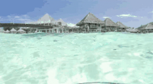 Maldives Clear Water GIF - Maldives Clear Water GIFs