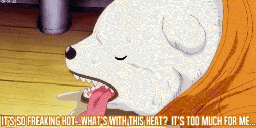 Bear Hot GIF - Bear Hot Heat GIFs