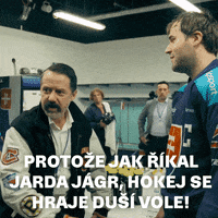Langmajer Lajna GIF - Langmajer Lajna Hokej GIFs