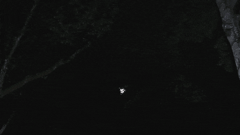 a bat is flying through the air at night