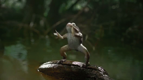Wiggle Wop Frog GIF - Wiggle Wop Frog Dance GIFs