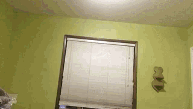 a room with green walls and white blinds