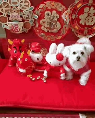 Puppy Dog GIF - Puppy Dog Red GIFs