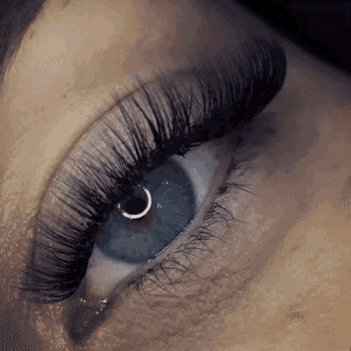 a close up of a woman 's blue eye with long black eyelashes