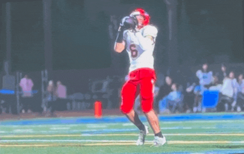 a football player with the number 6 on his jersey catches a ball