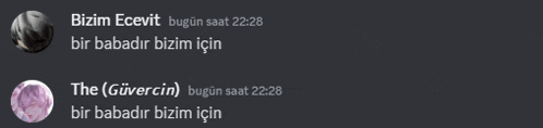 a screenshot of a conversation between bizim ecevit and the güvercin