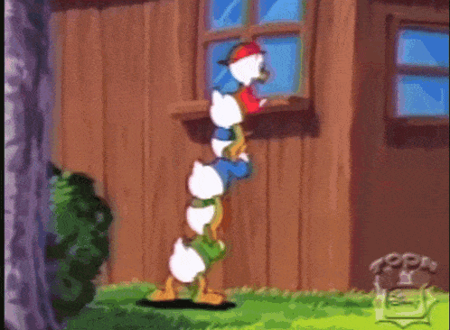 a cartoon of a duck looking out a window with a red hat