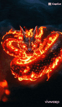 a dragon is surrounded by flames and looks like it is glowing red