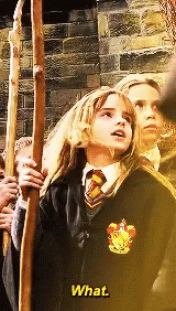 Hermione What GIF - Hermione What GIFs