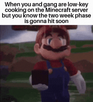 when you and gang are low key cooking on the minecraft server but you know the two week phasers is gonna hit soon .