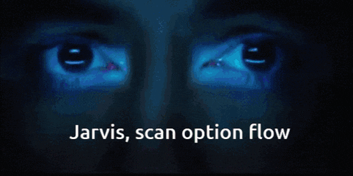 a close up of a man 's face and the words jarvis scan option flow