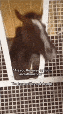 a horse is standing in a cage with the words " are you the horse of truth and affirmation "