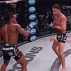 Bellator Fight GIF - Bellator Fight Never Give Up GIFs