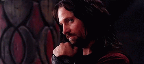 Aragorn Lord Of The Rings GIF - Aragorn Lord Of The Rings Stare GIFs