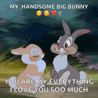 Thumper My Everything GIF - Thumper My Everything I Love You So Much GIFs