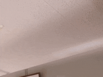 a group of toys are sitting on a shelf under a ceiling in a room .