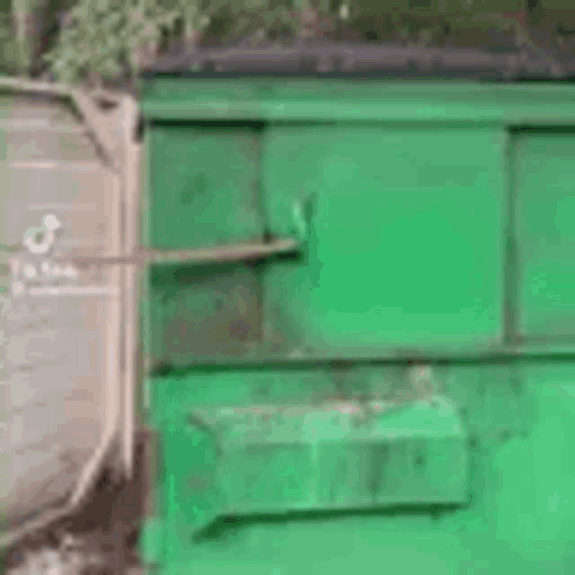 a green trash can with a cat sticking its head out of it .